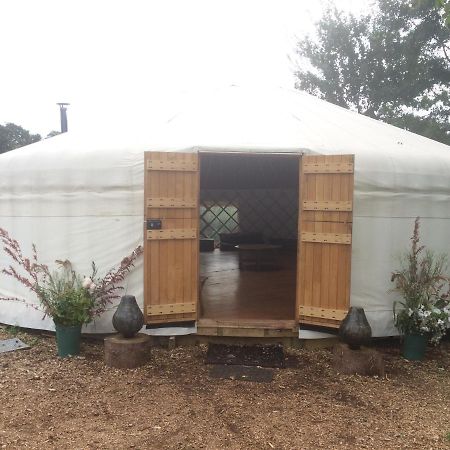 Plush Tents Yurt Village Chichester Exterior foto